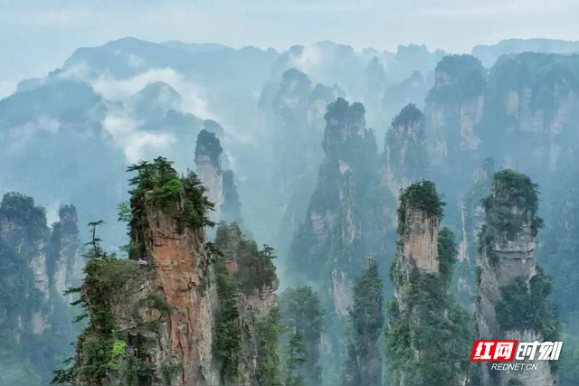 张家界十里画廊：水墨仙境中，12生肖观光电车开启童话之旅