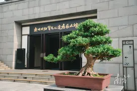 一盆一景一世界，广州市文化馆岭南盆景艺术传承推广季中秋“上新”图片