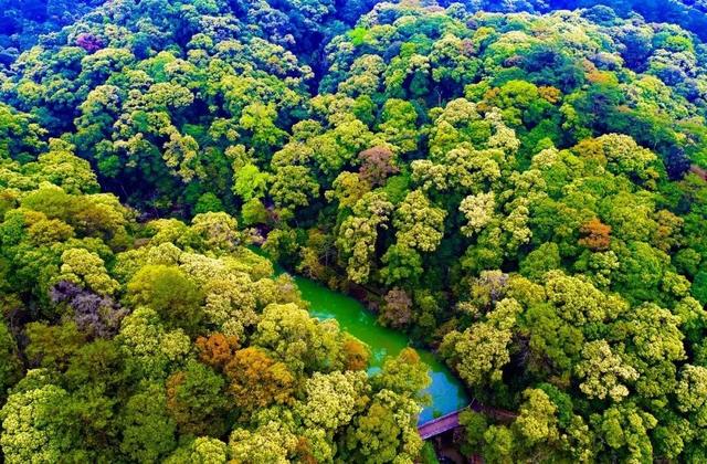初冬限定！三明的山林、梯田、古村，藏着最治愈的风光