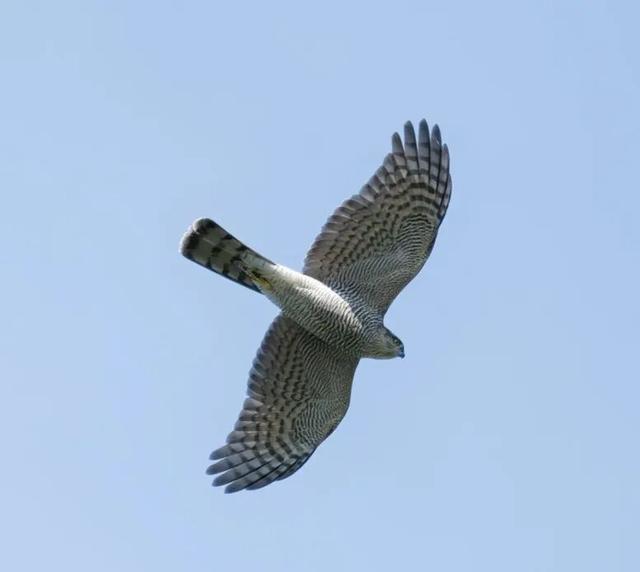 科考旅行｜秘境山南生态考察报名