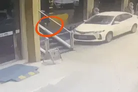 男子一时兴起，盯上了酒店门口的三只乌龟，摊上了大事图片