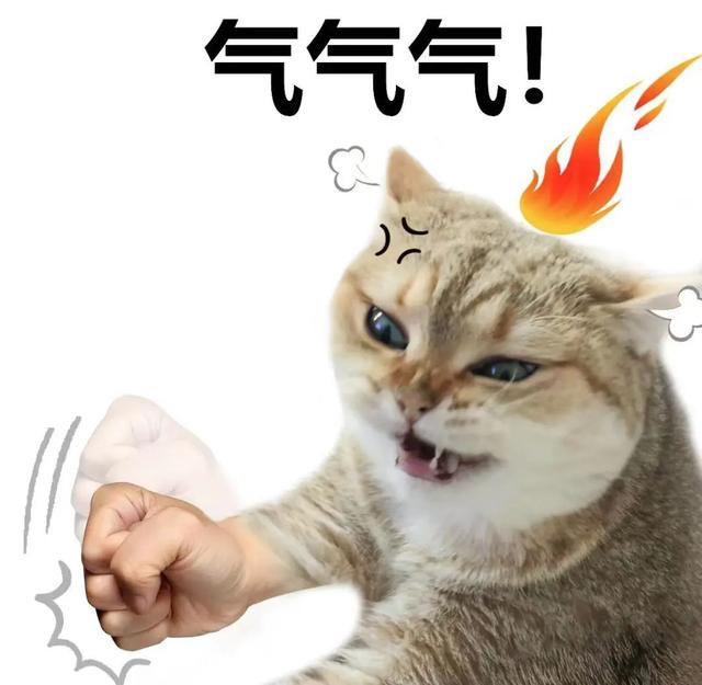 半夜，杭州爸爸一掀被窝：气懵！一家3口都进了医院