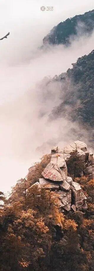 霜降已至，江西这几座名山秋色绝美，快来打卡！