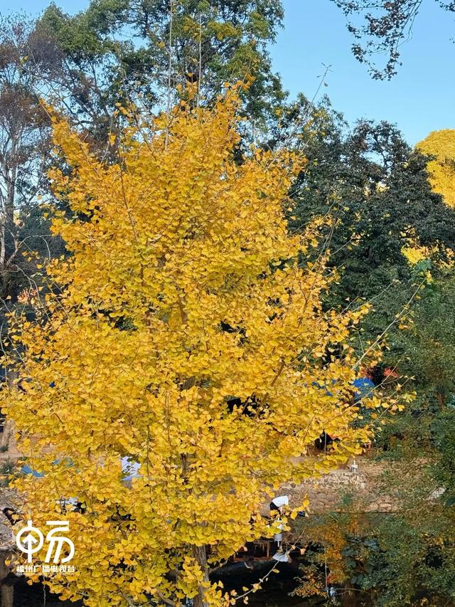 红了！红了！不少人都出动了...