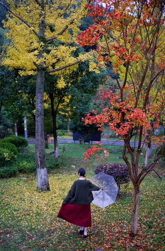 【天眼影像】来七星关拍冬日氛围感美照