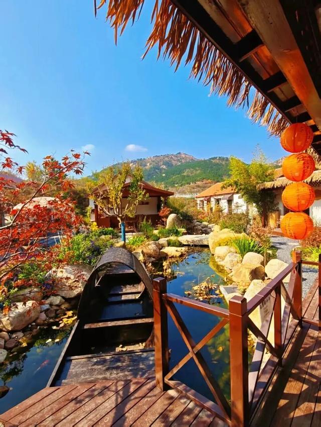 周末别宅了！青岛这5个宝藏地，现在去正好