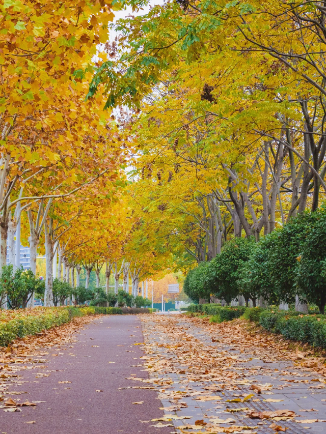 速冲！到这里get明星同款秋日大片！