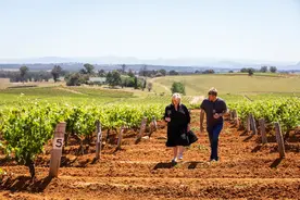 澳大利亚葡萄酒重返中国订单闻声大涨，中澳贸易有望再突破图片