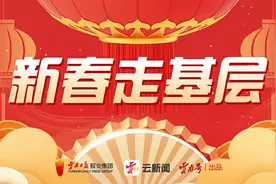 新春走基层｜丽江拉市海：观鸟游成假日“新宠”图片