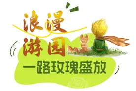 玫瑰星球限时空降东湖，浪漫满分！图片