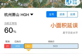 受恶劣天气影响，杭州萧山机场部分进出港航班延误图片