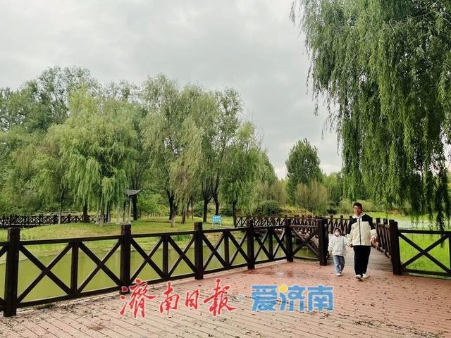 一年四季 泉在济南丨雨霁初晴 湿地公园展绝美“生态画卷”