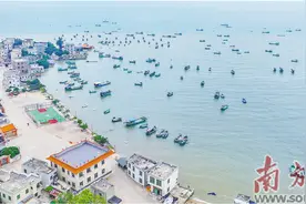 “中华白海豚通人心，有灵性”图片