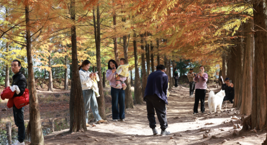 美翻了！进入最佳观赏期！永康这个绝美打卡地不要错过