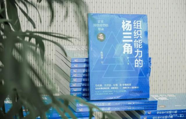 独家专访 | 杨国安：用“杨三角3.0”打造AI时代的超强组织力