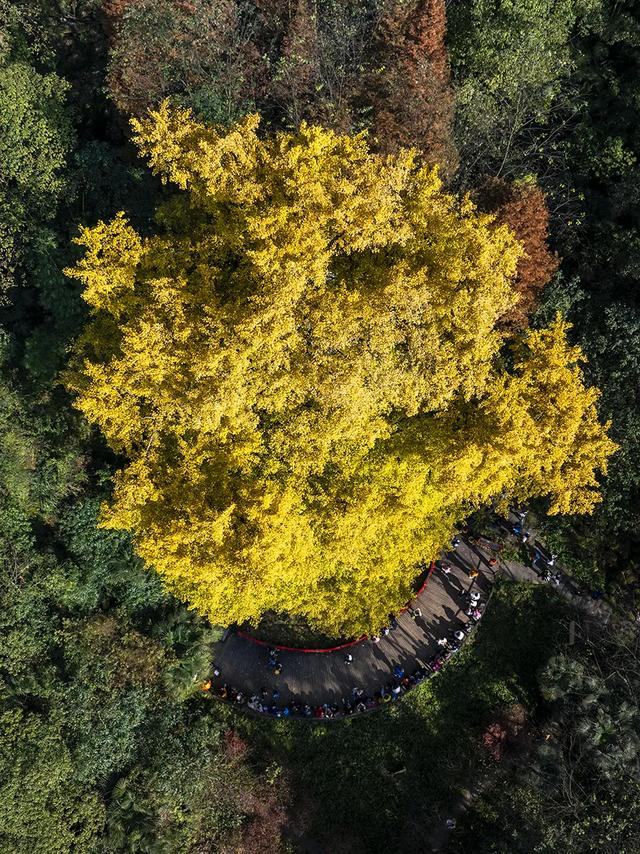 别再瞎找了！这张“黄金版图”全是惊喜