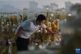 国道之行 海阔天空｜“比起恋人，斑海豹更像我的家人”图片