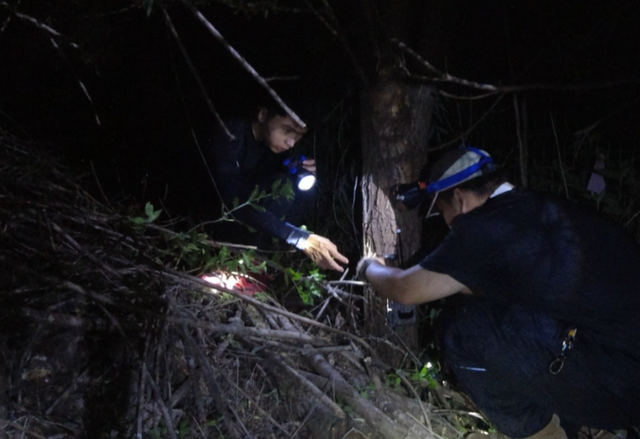 福利丨温榆河夜溯溪流与昆虫探秘活动招募
