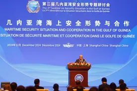这18个国家的海上武装力量领导人，一起在上海开了个会图片
