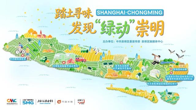 崇明“国际湿地城市”24小时：白天跑马拉松，晚上遇扬子鳄、看银河，太治愈了！