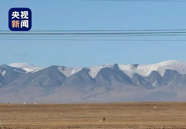 “这是可可西里，感动得有点想哭！”