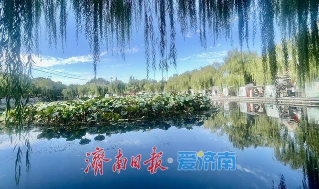 一年四季 泉在济南丨济南百花洲：初秋景致入画来