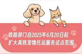 高铁宠物托运服务试点范围今起扩大，详细指南来了图片