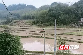 桃源：守护耕地“生命线”，共筑丰收新希望图片
