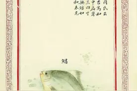 《记海错》：从美味海鲜到奇幻海洋图片