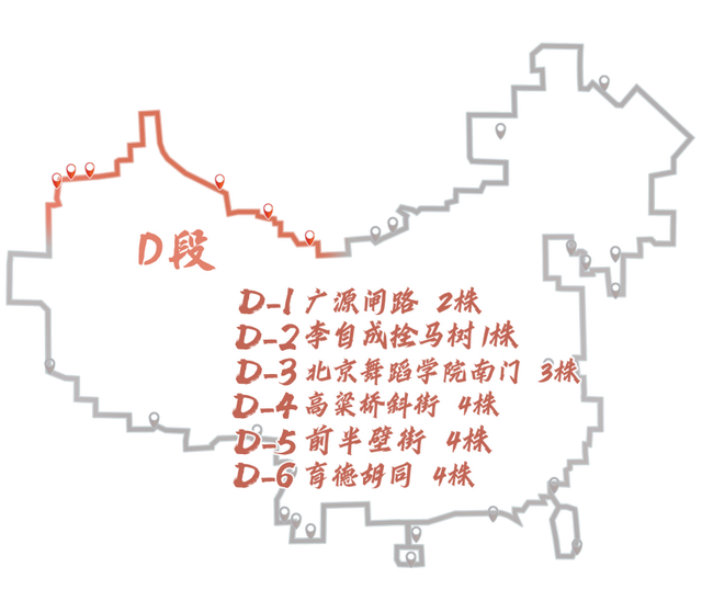 北京古树 家国情怀 国庆古树游线等您来体验