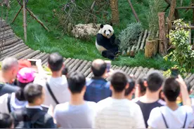 “我们爱动物园”，爱的是什么？图片