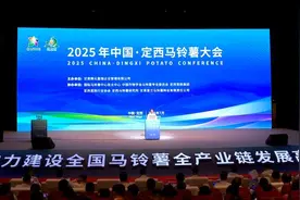 2025年中国定西马铃薯大会举行图片