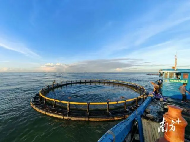双百强加冕！揭秘汕头南澳岛”山海交响“的发展逻辑
