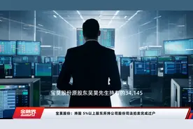 宝莫股份：持股 5%以上股东所持公司股份司法拍卖完成过户视频封面