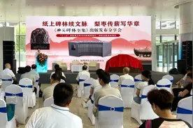 《西安碑林全集》出版发布分享会举行图片