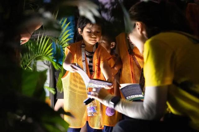 广州动物园首推“海陆空一夜营”，揭秘你没见过的动物王国
