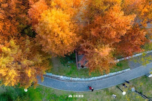 爆火机位！汉阳这个阳台，红了！