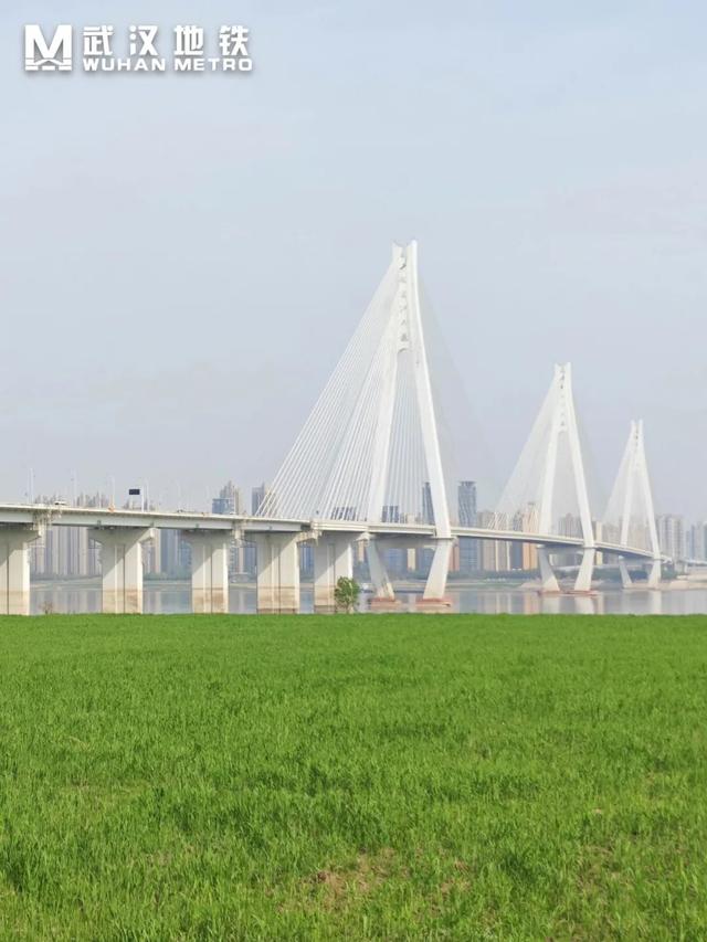 李白崔颢没见过的武汉，被地铁串成了诗