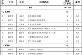 共141个！云南省2024年第一批新能源项目开发建设方案发布图片