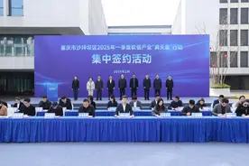 20个软信项目为何“抢滩”沙坪坝？“三零”服务助企成长图片