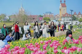 欢乐谷日夜场全开 花博汇游客人数增长近1.5倍 全国游客到湖北乐赏春日花事图片