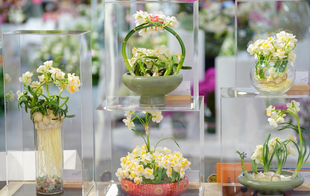 各类“崇明文旅宝藏”，在这里可以一站式体验！