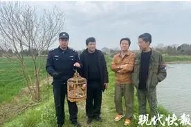 爱心接力！保猫头鹰“母子平安”图片