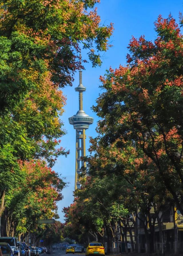 报！已达颜值巅峰！