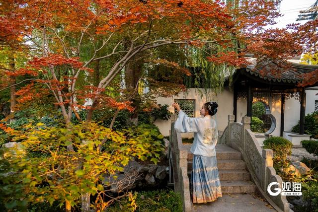 “秋日限定”上线！世博园赏秋正当时