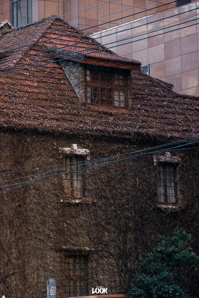 冬日打开指南！去愚园路静安段逛街→