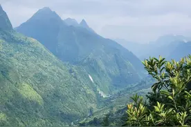 红崖天书三十年图片