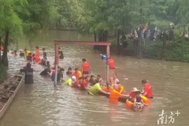 全民龙舟的参与感，在容桂起龙现场图片