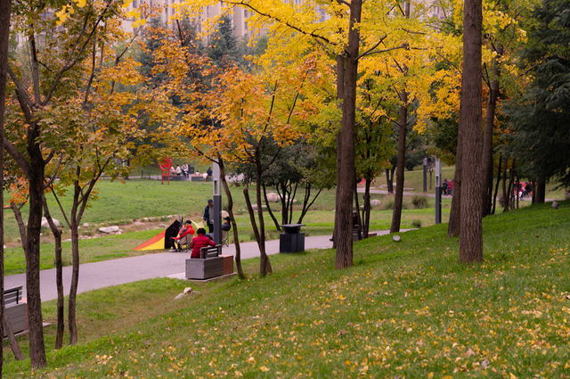 秋风引路入曲江，芙蓉金叶映红墙