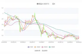 粤宏远A：2024年上半年亏损669.50万元图片